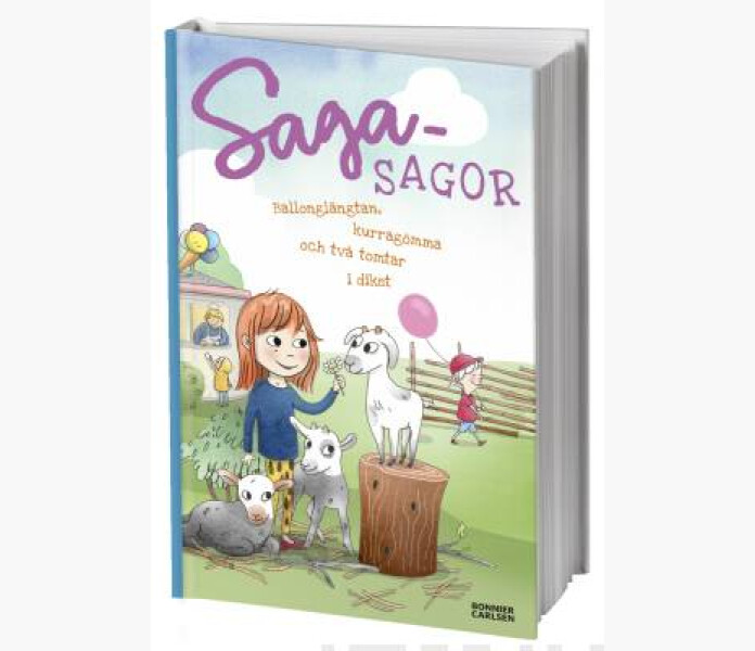 Ballonglangtan kurragomma och tva tomtar i diket image