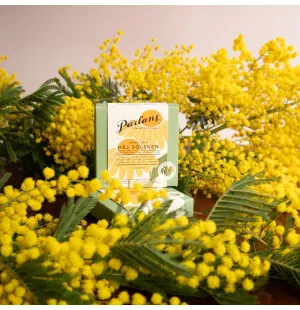 Pärlans hej solsken 5 kolor image