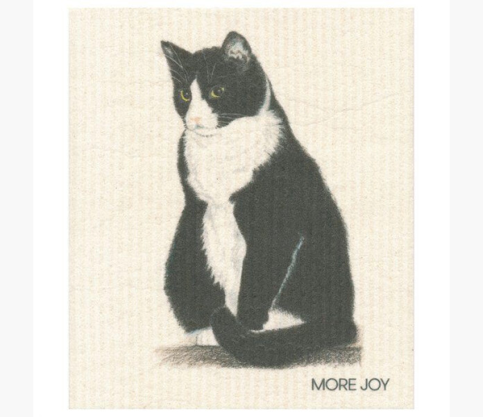 Disktrasa morkyli kissa kuva