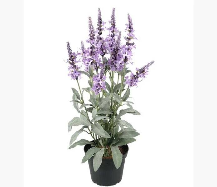 Veronica lila 46cm image