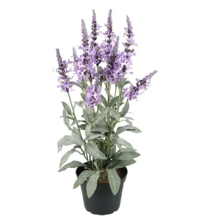 Veronica mörk lila, 46cm image