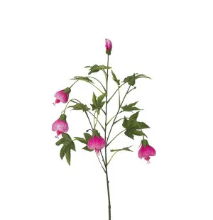 Blomsterlönn rosa, 80cm image