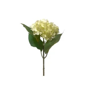 Hortensia vit, 40cm image