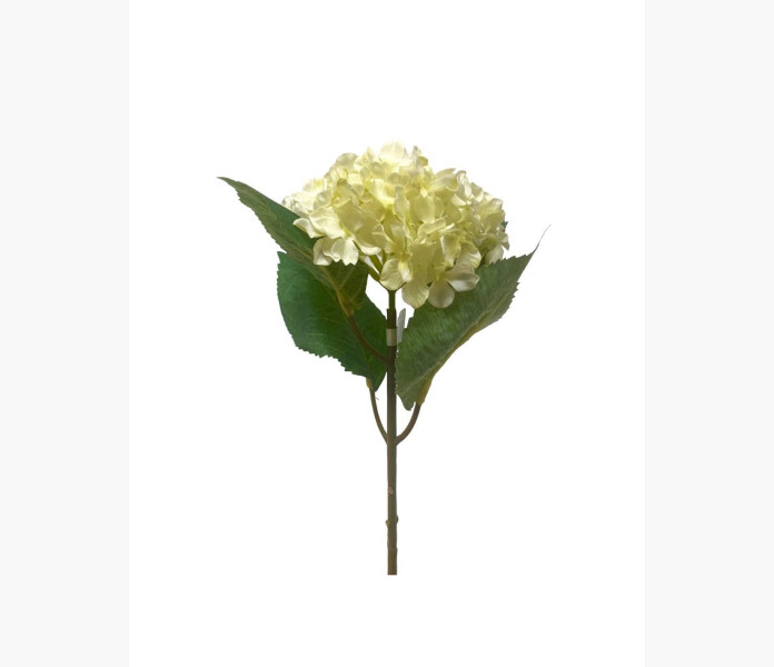 Hortensia vit 40cm image