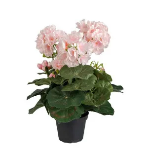 Pelargon rosa, 35cm image