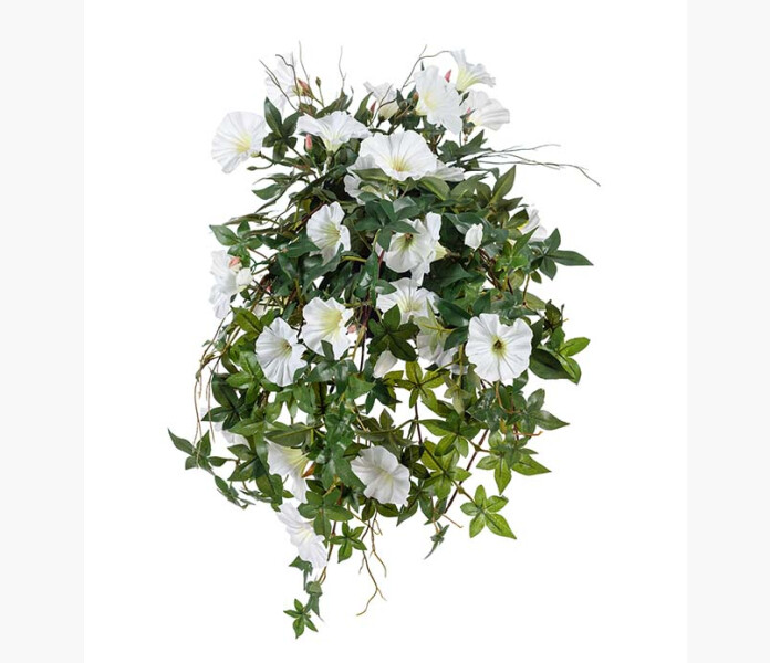 Blomma for dagen vit 60cm image