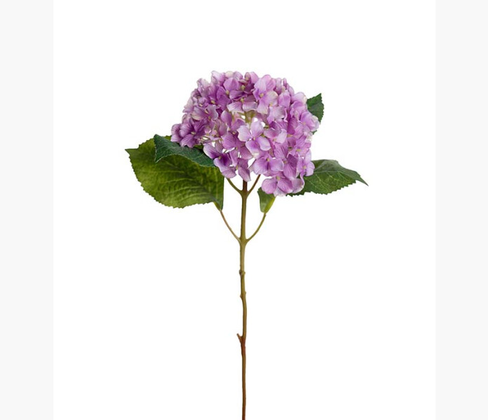 Hortensia lila 40cm image