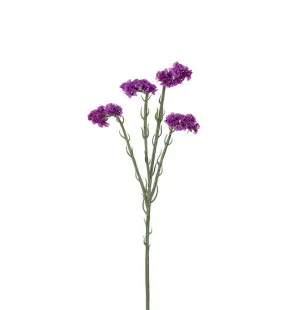 Statice lila, 60cm image
