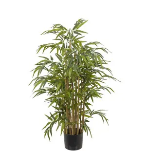 Bambu, 120cm image
