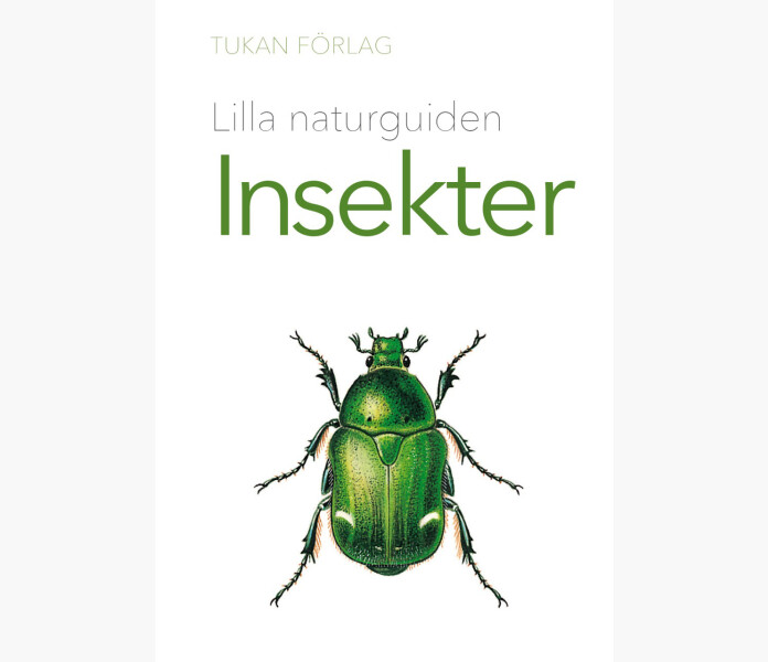 Lilla naturguiden Insekter image