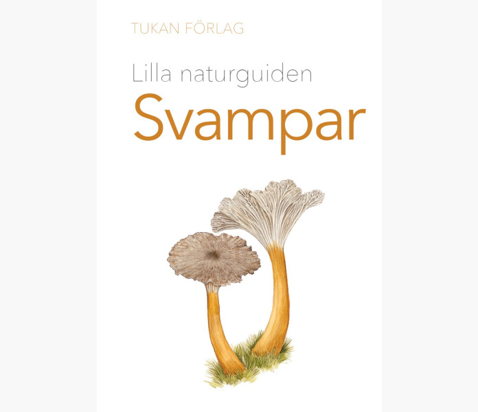 Lilla naturguiden Svampar image