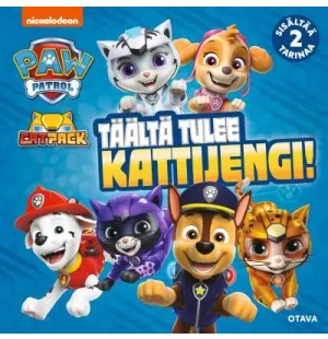 Ryhmä Hau - Täältä tulee Kattijengi image