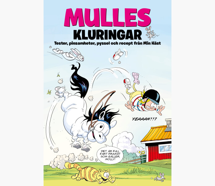 Mulles kluringar Tester pinsamheter pyssel... kuva