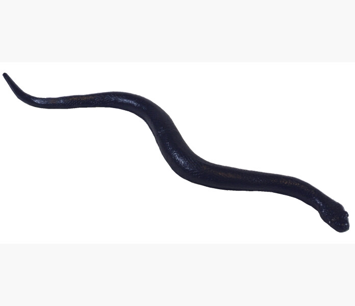 Orm 50cm sortiment kuva