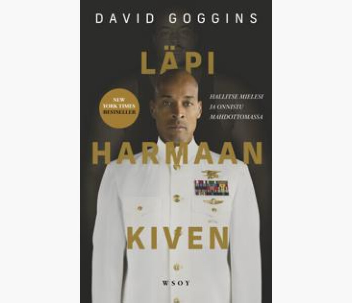 Lapi harmaan kiven kuva