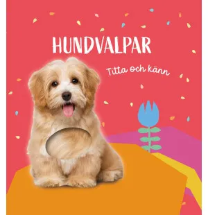 Hundvalpar kuva