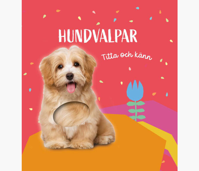 Hundvalpar kuva