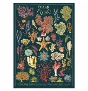 Poster Cavallini Ocean Flora image