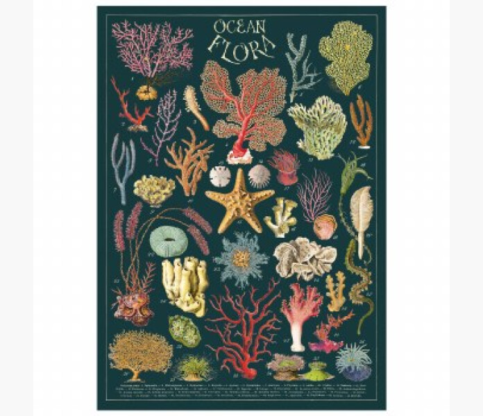 Poster ocean flora kuva