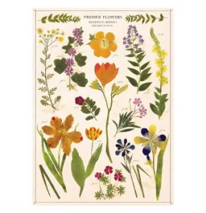 Poster Cavallini Pressed Flowers image