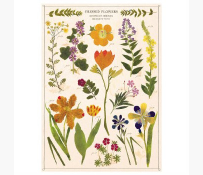 Poster pressed flowers image