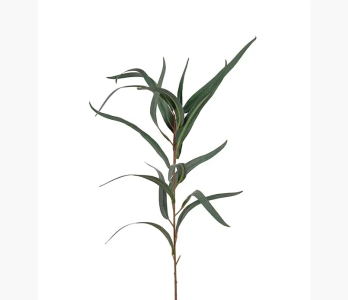 Eucalyptus gron 60cm kuva