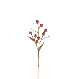 Eucalyptuskvist med bär, 65cm image