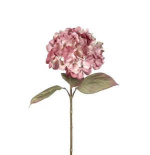 Hortensia rosa, 65cm image