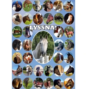 Lyssna! En bok av hästar för människor kuva