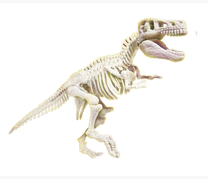 Dino arkeologi tyrannosaurus Rex 7+  kuva