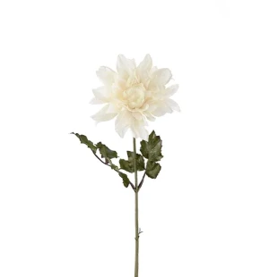 Dahlia vit, 45 cm image