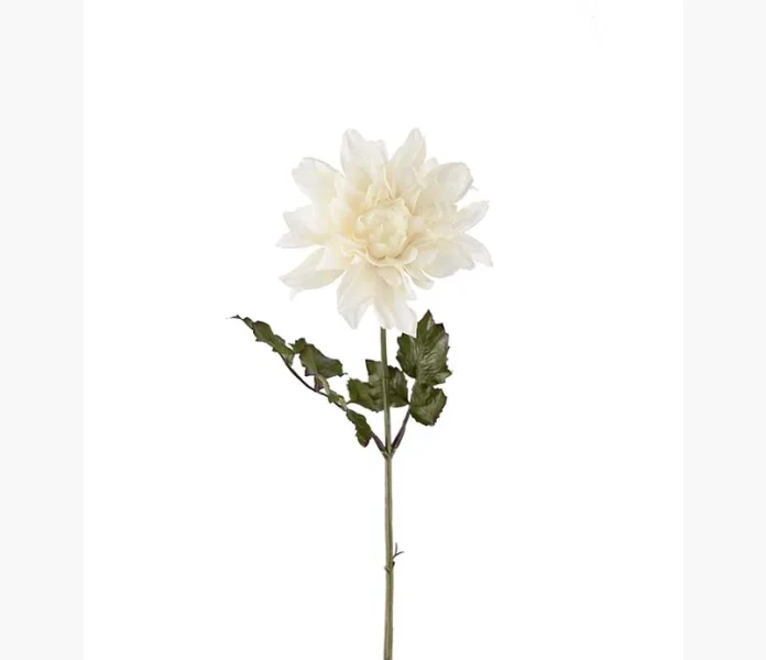 Dahlia vit 45 cm image
