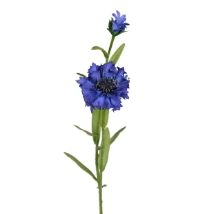 Blåklint, 58 cm image