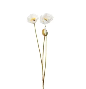 Vallmo vit, 75 cm image