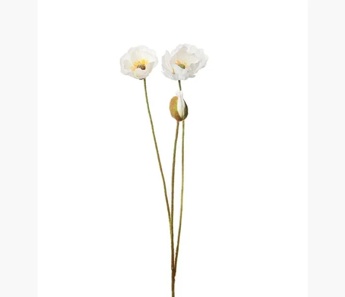 Vallmo vit 75 cm kuva