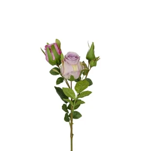 Ros lila, 40cm image
