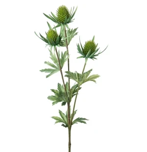 Tistel grön, 60cm image