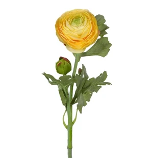 Ranuncel gul, 30cm image