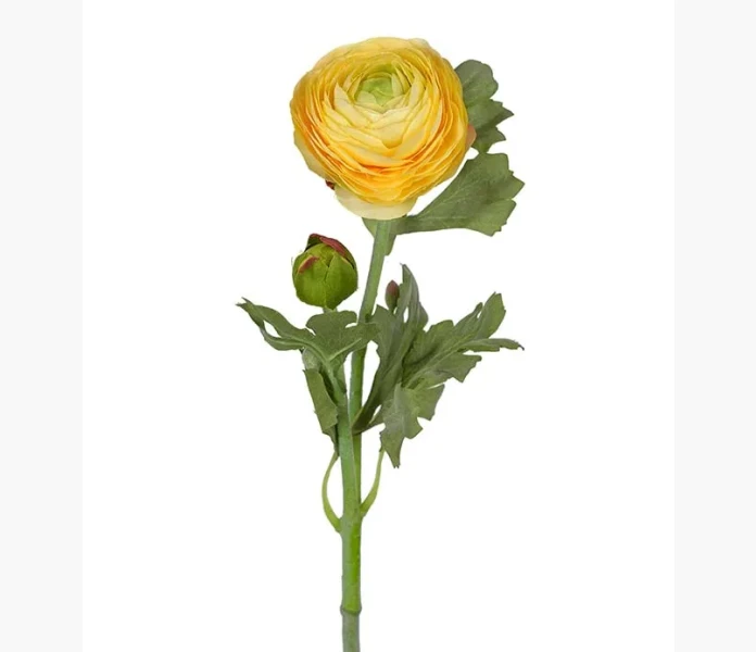 Ranuncel gul 30cm kuva