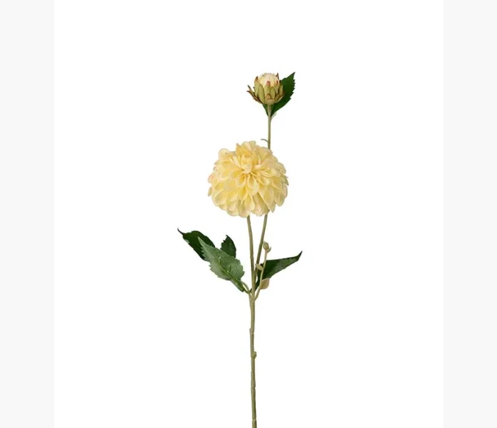 Dahlia gul 66cm kuva