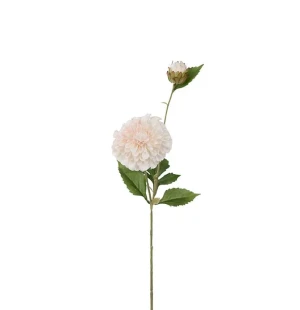 Dahlia aprikos 66cm image