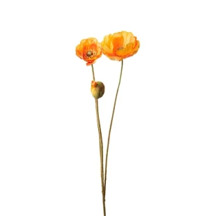 Vallmo persika, 75 cm image