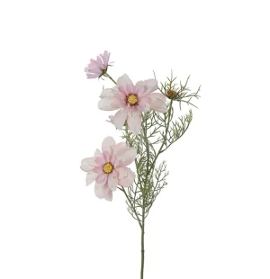 Rosenskära rosa, 60 cm image