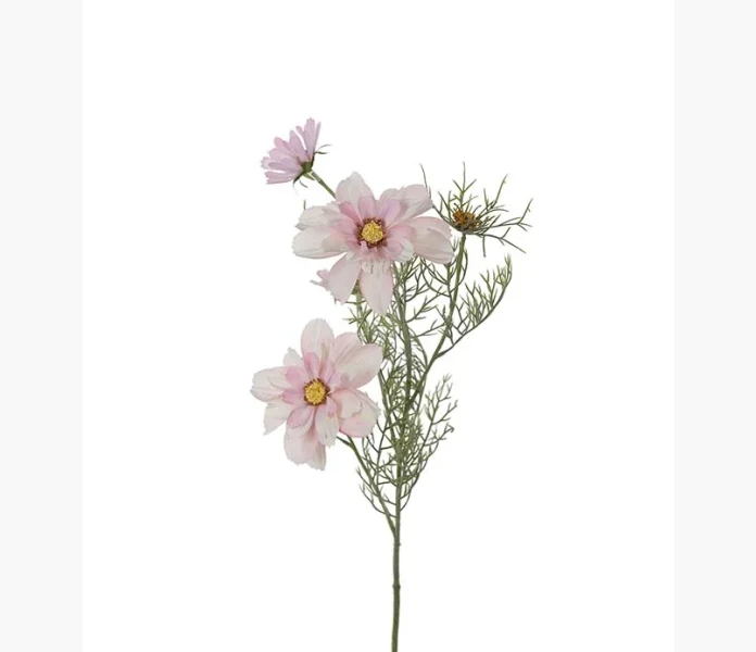 Rosenskara rosa 60 cm kuva