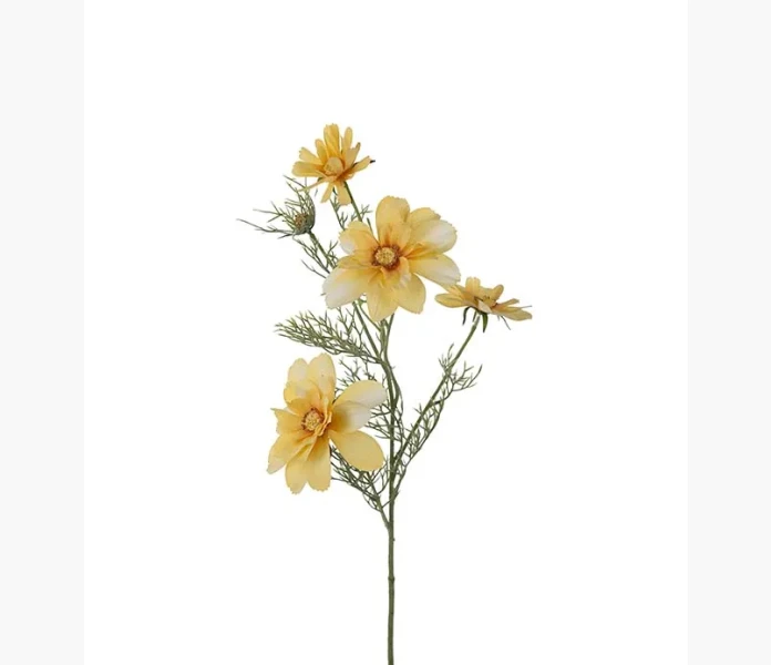 Rosenskara gul 60 cm kuva