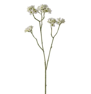 Blomkvist vit, 80 cm image