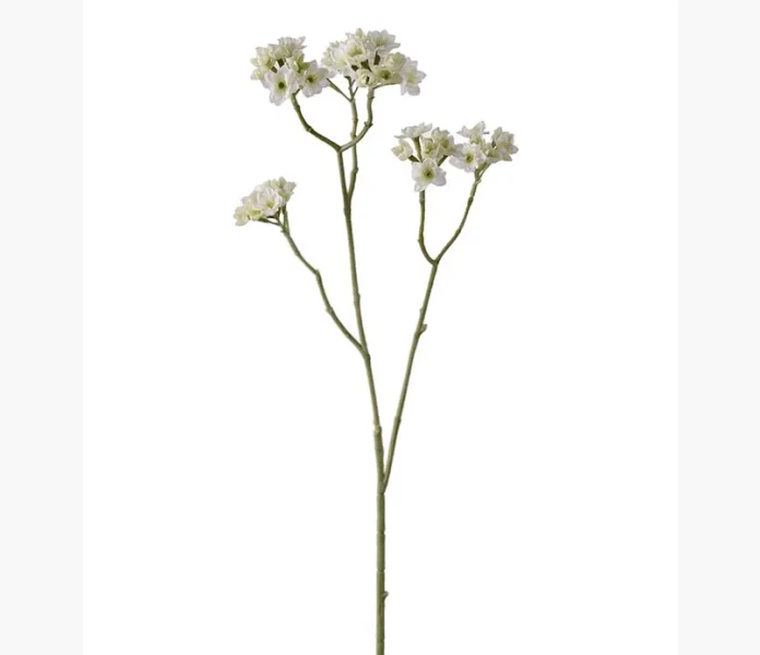Blomkvist vit 80 cm kuva
