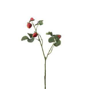 Jordgubbskvist, 50 cm image