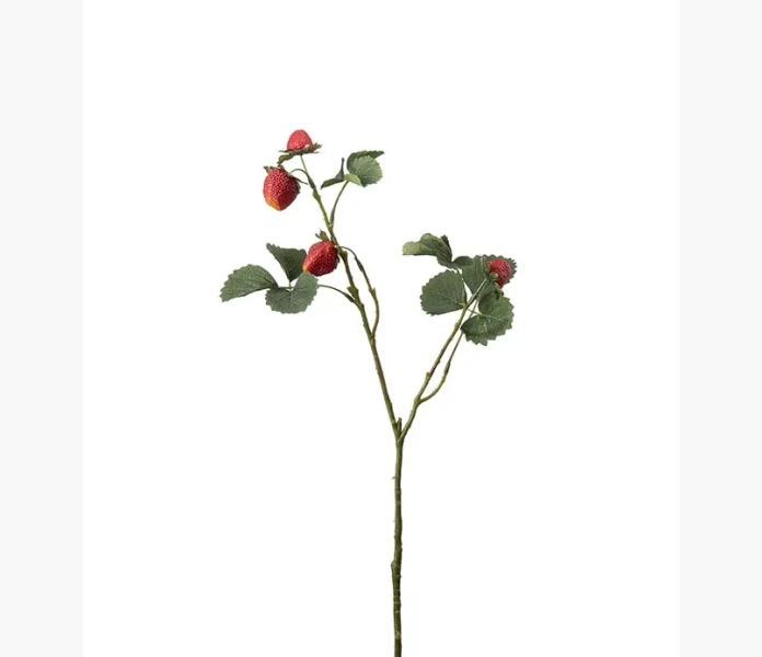 Jordgubbskvist 50 cm kuva