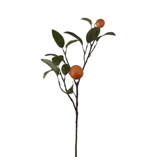 Apelsinkvist, 60 cm image